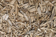 biomass boilers Pen Lan Mabws